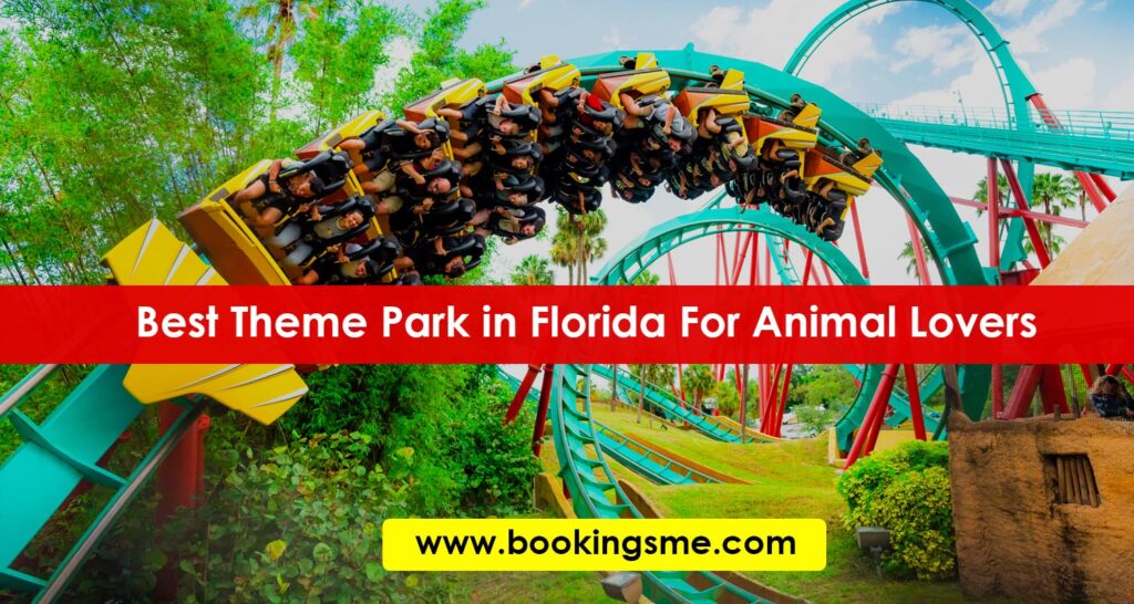 Busch Gardens Tampa Bay Best Theme Park in Florida For Animal Lovers