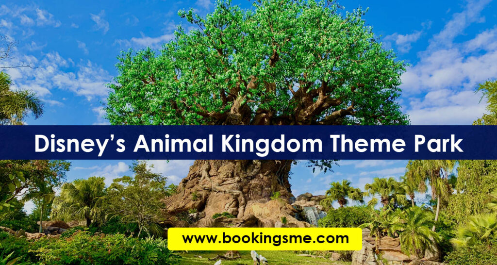Disney’s Animal Kingdom Theme Park