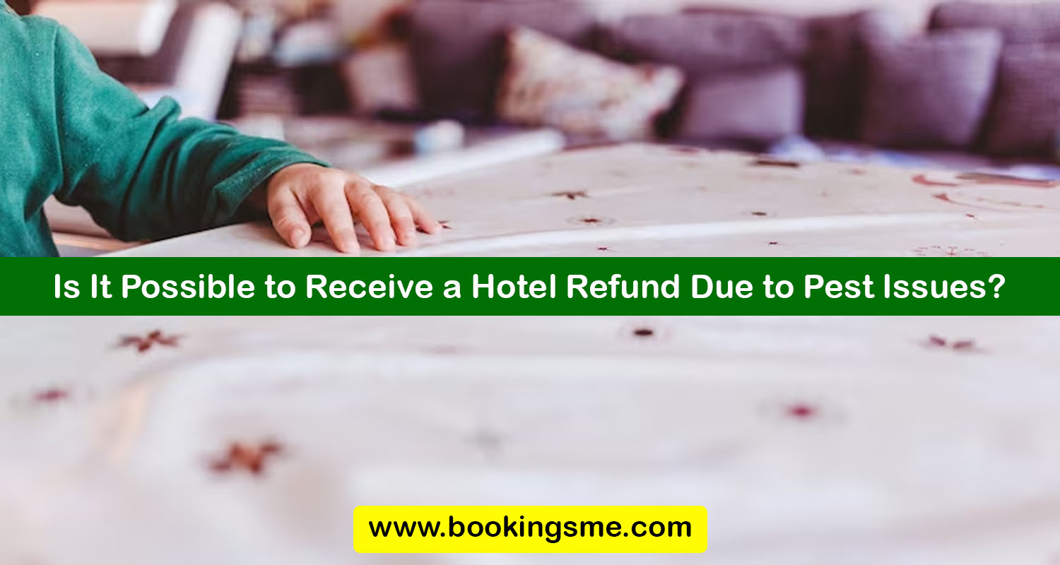 Is It Possible to Receive a Hotel Refund Due to Pest Issues
