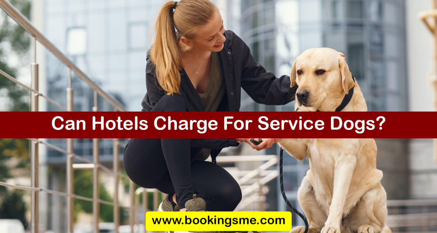 Can Hotels Charge For Service Dogs