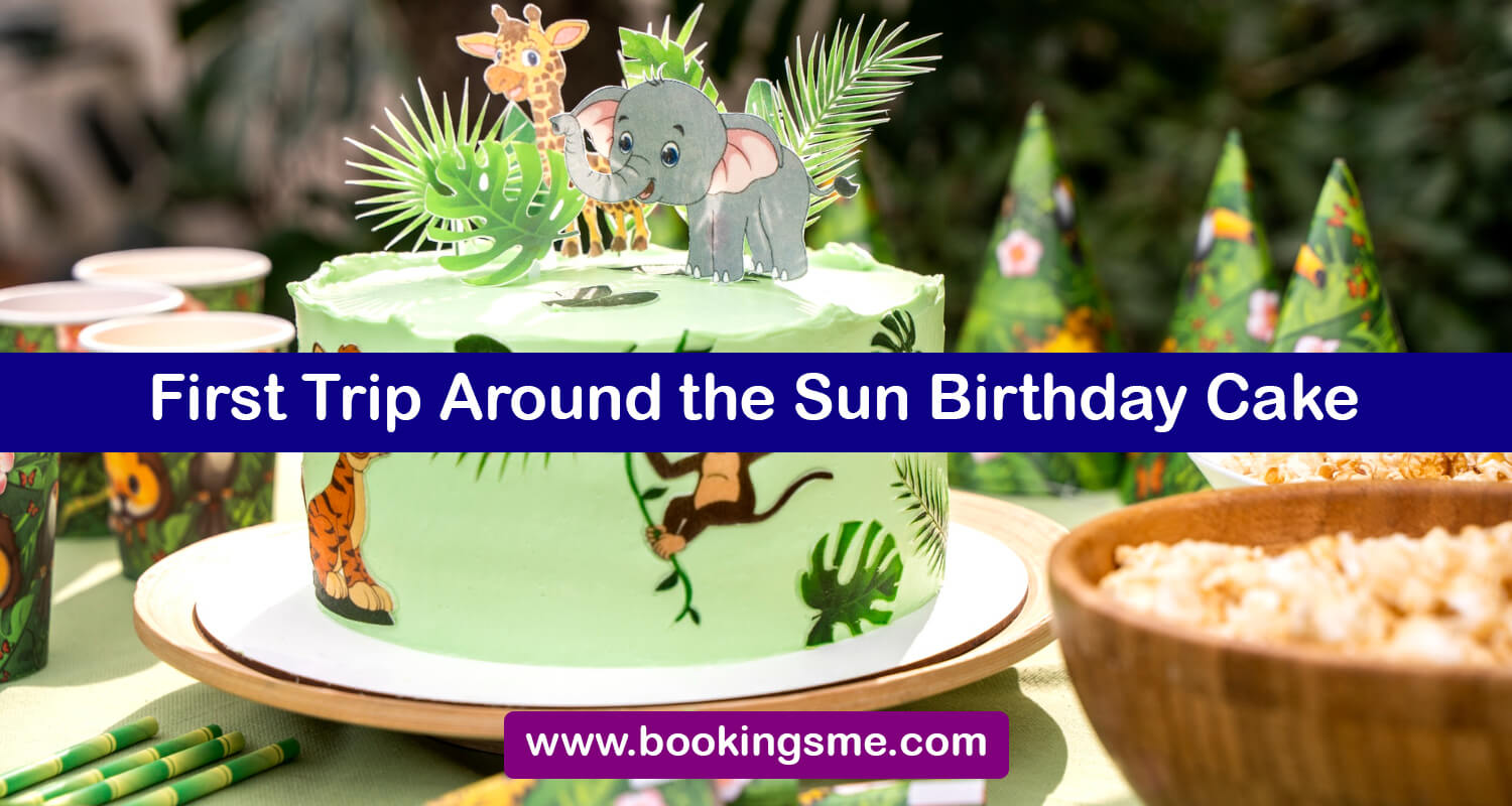 First Trip Around the Sun Birthday Cake