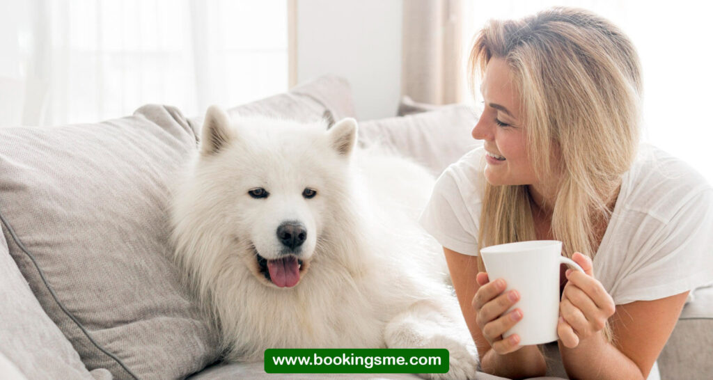 hotels where pets stay free